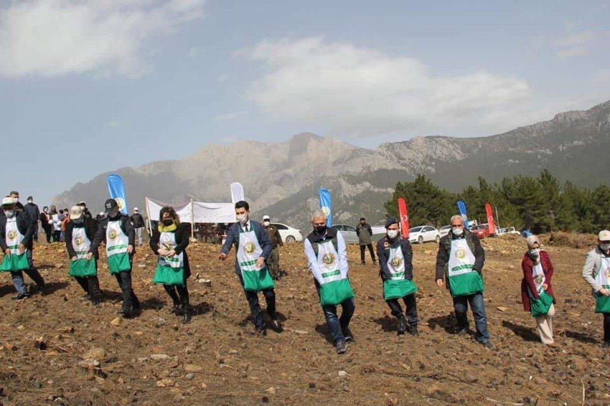 Adana'da 208 futbol sahası büyüklüğündeki alan, 5 ayda yeşillendirildi