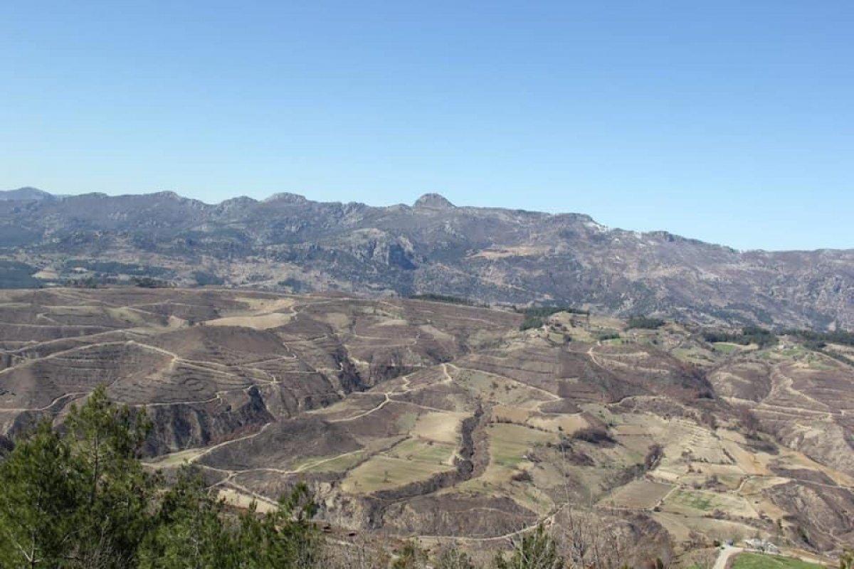 Adana'da 208 futbol sahası büyüklüğündeki alan, 5 ayda yeşillendirildi