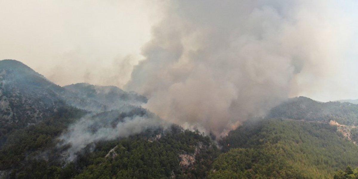Muğla Köyceğiz yangını kontrol altına alındı