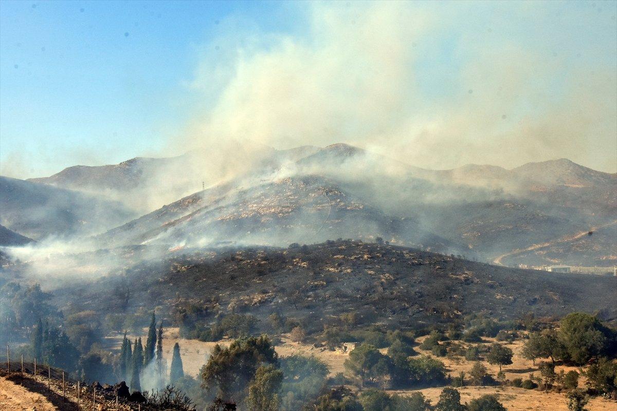 Bekir Pakdemirli: Tüm yangınlar kontrol altına alındı