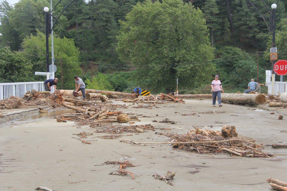 Ayancık'ta vatandaşlar kışlık odunu selden çıkarıyor