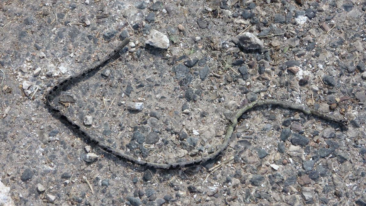 Adıyaman’da toprağa gömülü EYP patlatıldı