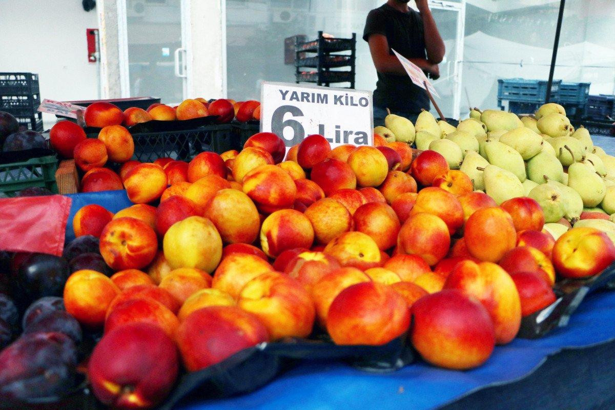Şeftali ve nektarin bahçede 6 markette 18 lira