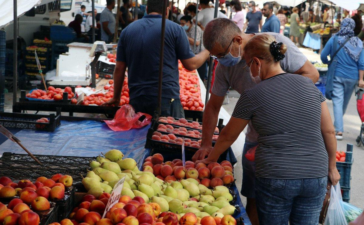 Şeftali ve nektarin bahçede 6 markette 18 lira