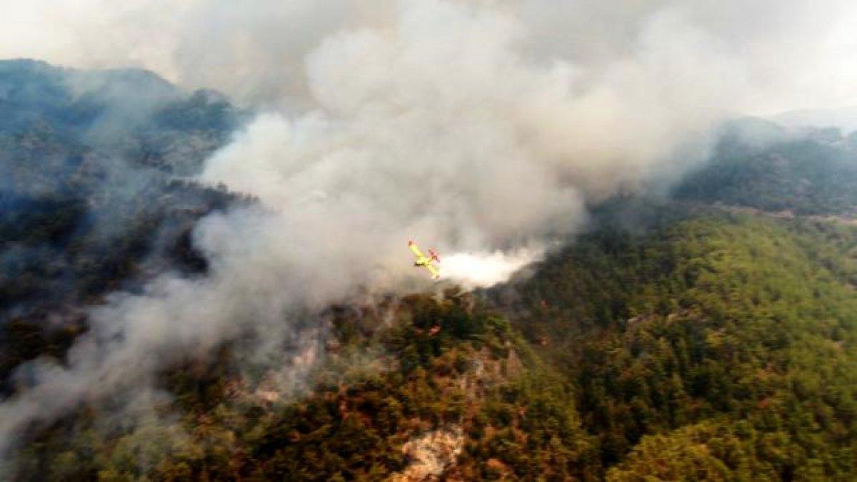 Muğla Köyceğiz yangını kontrol altına alındı