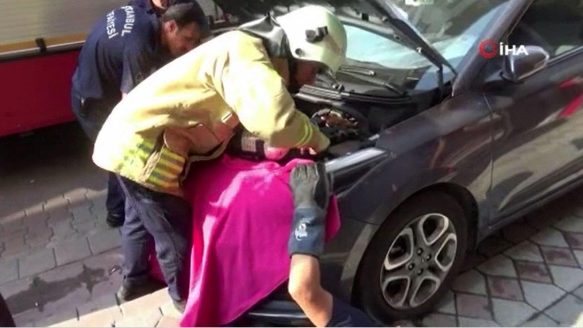 Sultangazi’de otomobilin altına giren 3 kedinin kurtarılma anları kamerada