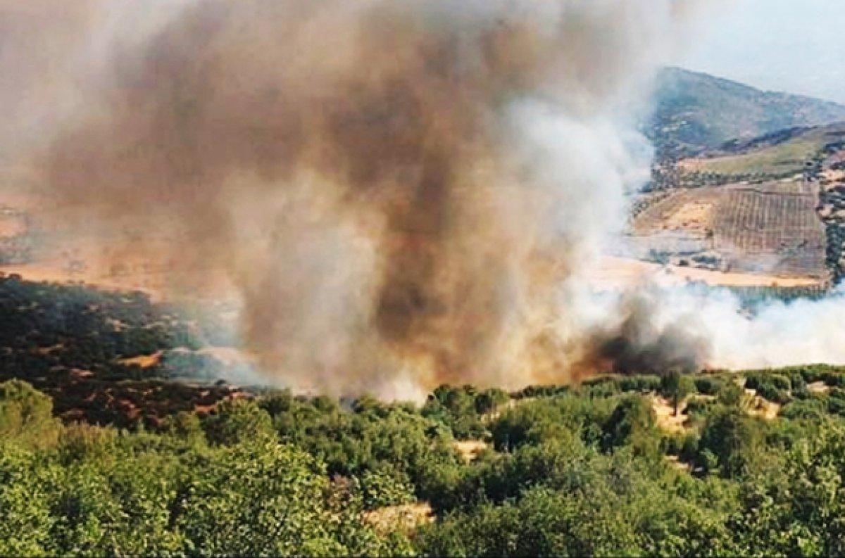 Muğla Köyceğiz yangını kontrol altına alındı
