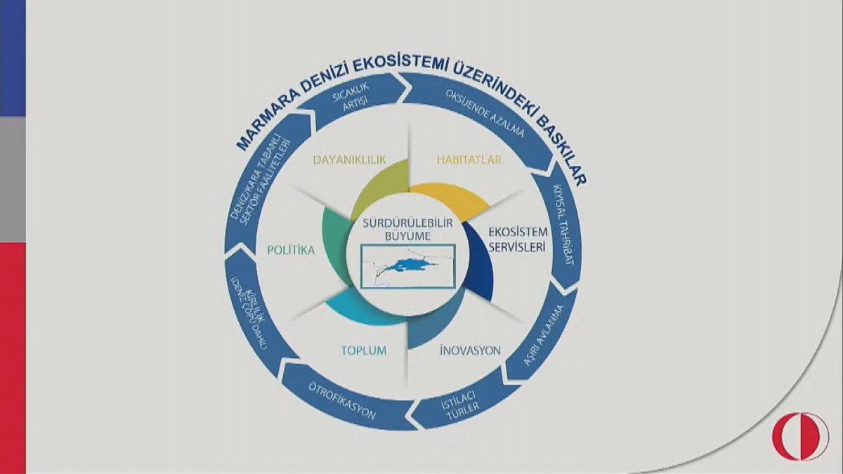 Prof. Özdelice: Aşırı balık avı nedeniyle müsilaj oluşumu hızlandı
