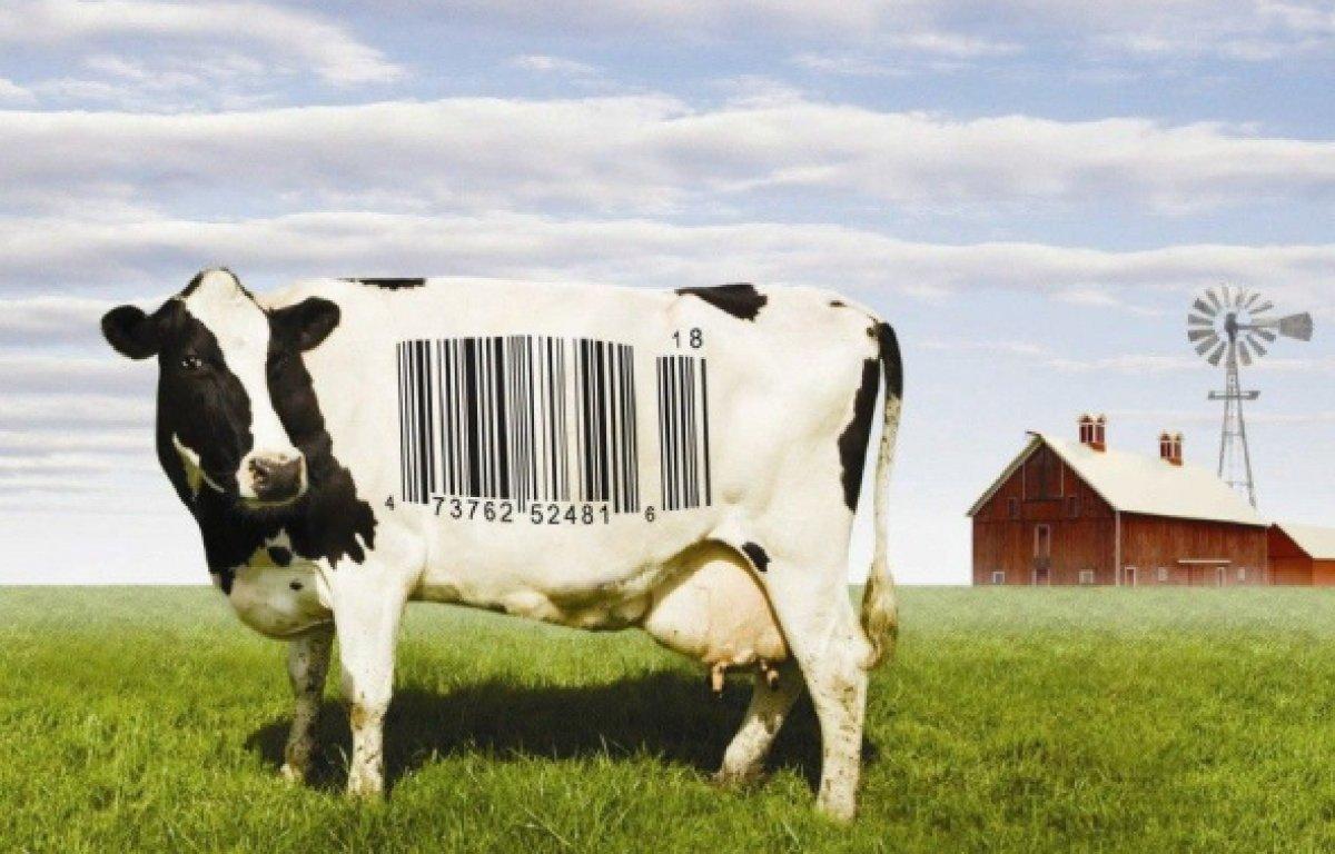 Yemek alışkanlıklarınızı tepetaklak edecek 5 belgesel