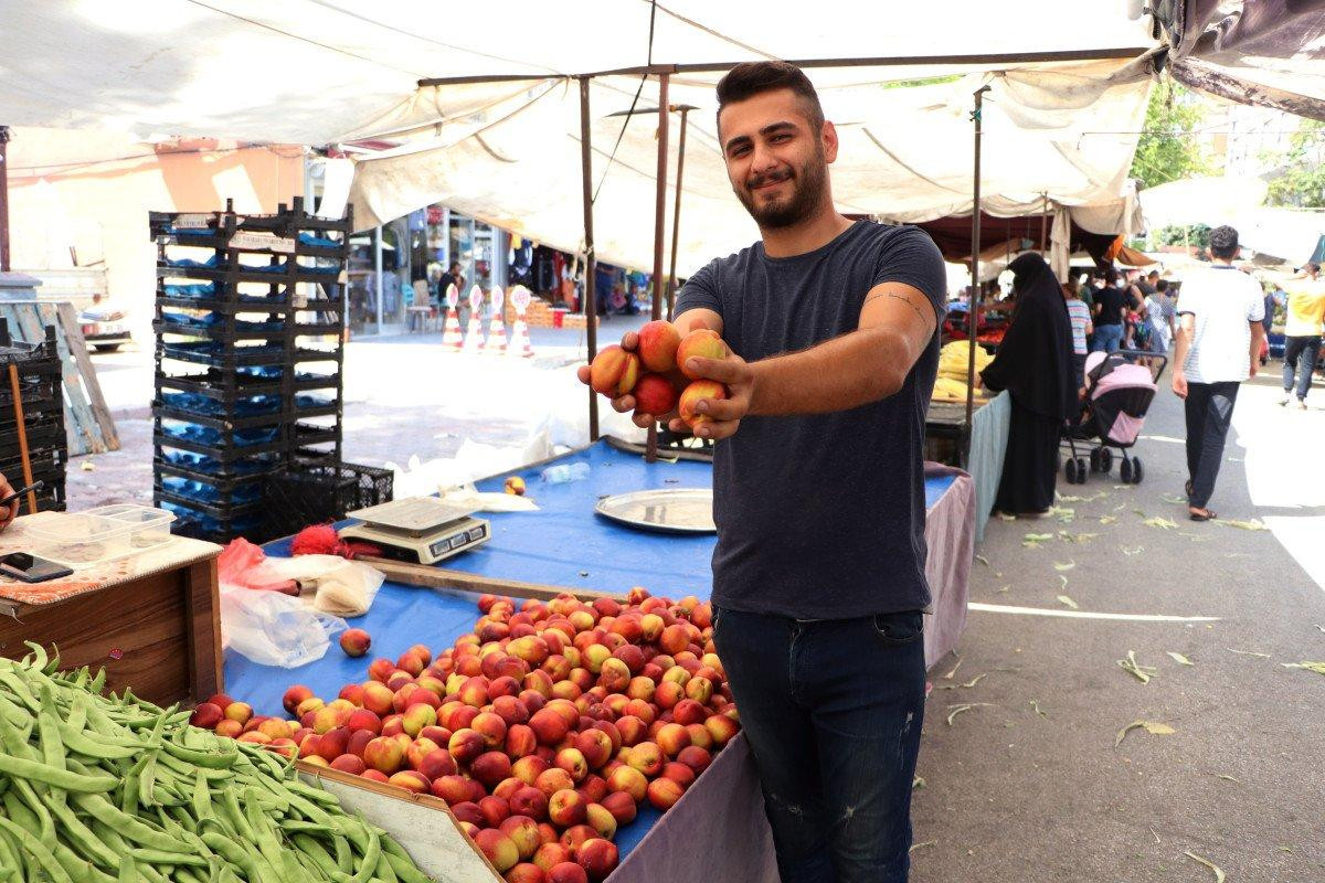 Şeftali ve nektarin bahçede 6 markette 18 lira