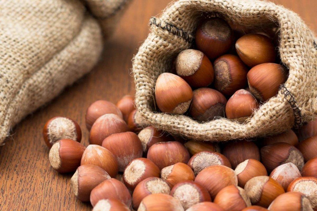 En kıymetlisi: Levant kalite fındık ne demek?