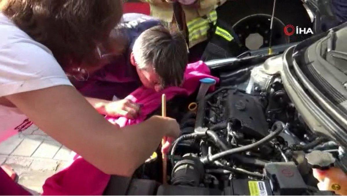 Sultangazi’de otomobilin altına giren 3 kedinin kurtarılma anları kamerada