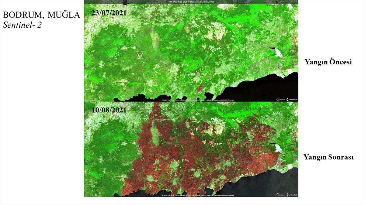 Akdeniz ve Ege'de yanan alanlar uzaydan görüntülendi