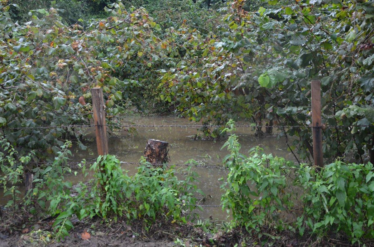 Ordu'da sel sonrası sahil çamura büründü