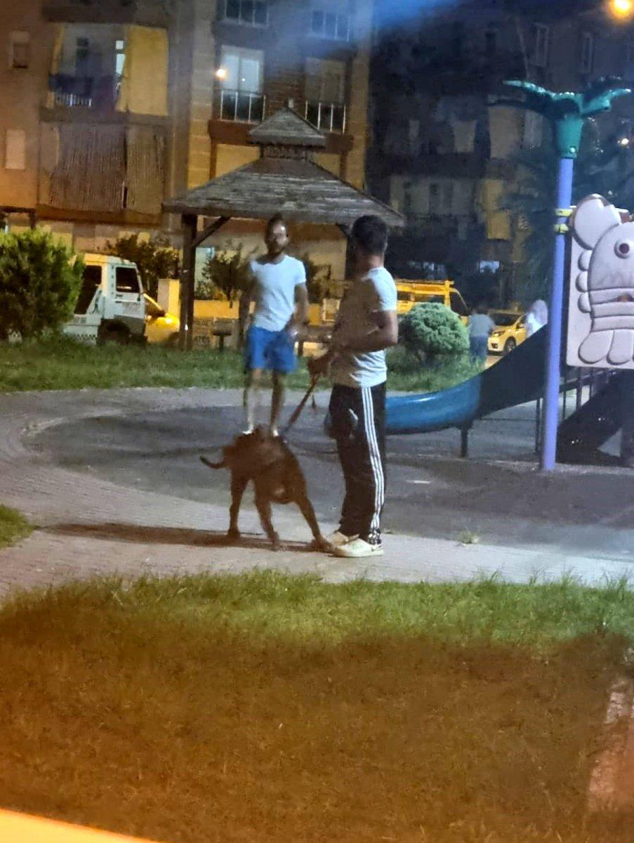 Antalya’da bir kadın, 2 pitbull köpeğinin saldırısına uğradı