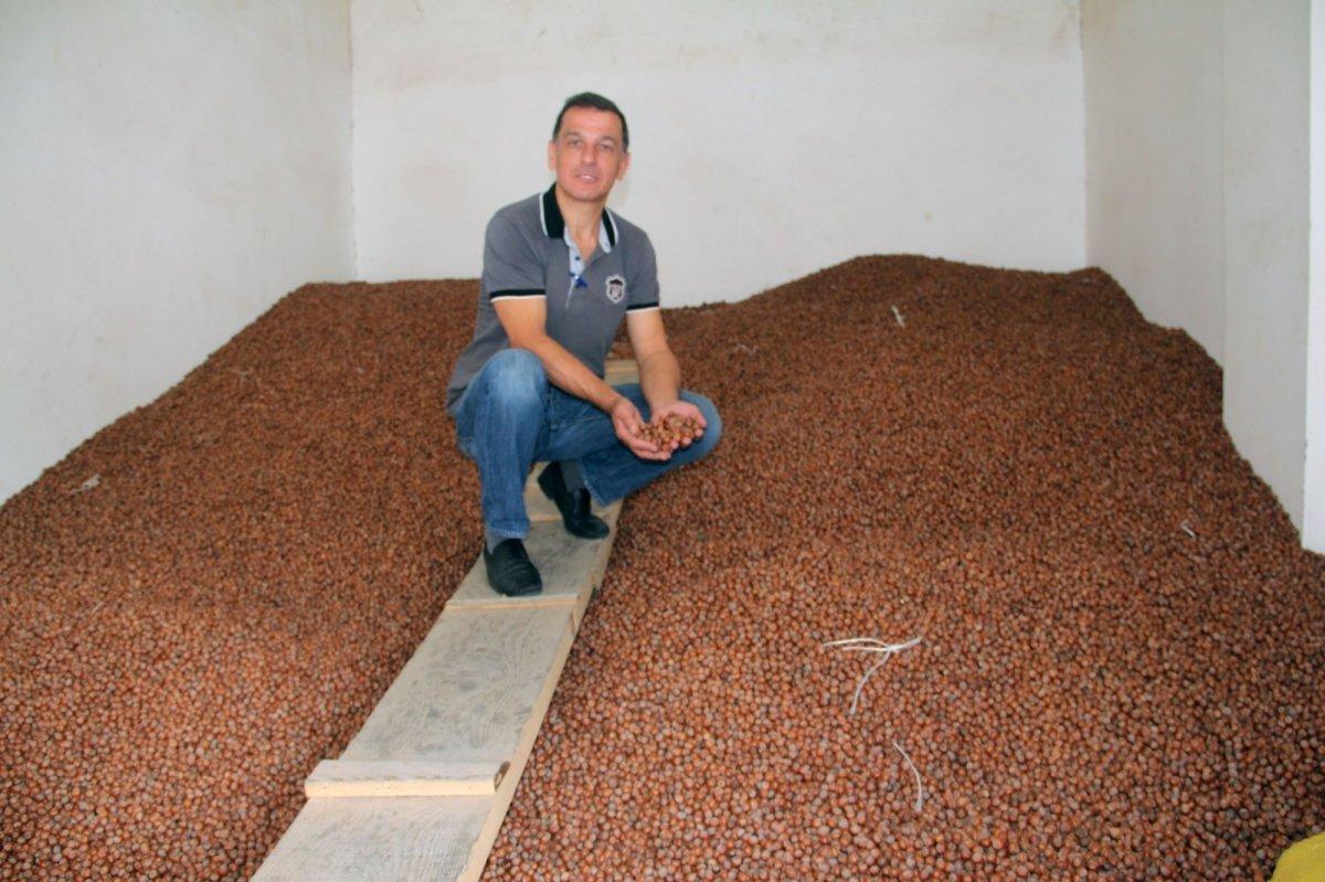 Fındık fiyatı arttı