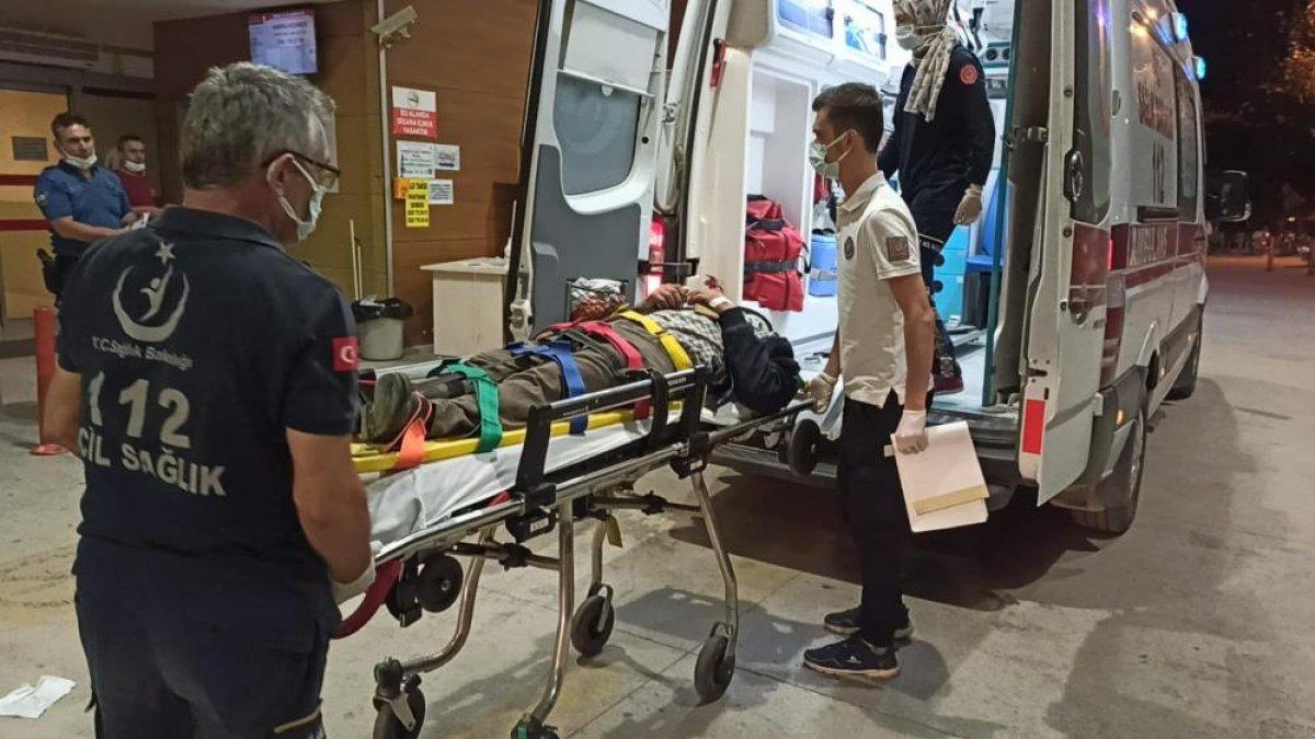 Bursa'da motosiklet, domuz sürüsüne çarptı