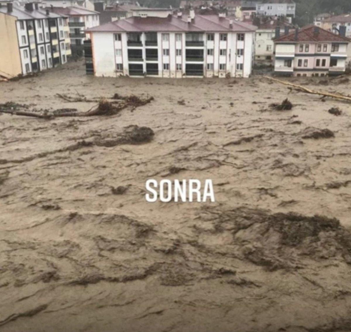 Kastamonu'da sel felaketinin boyutunu anlatan kare