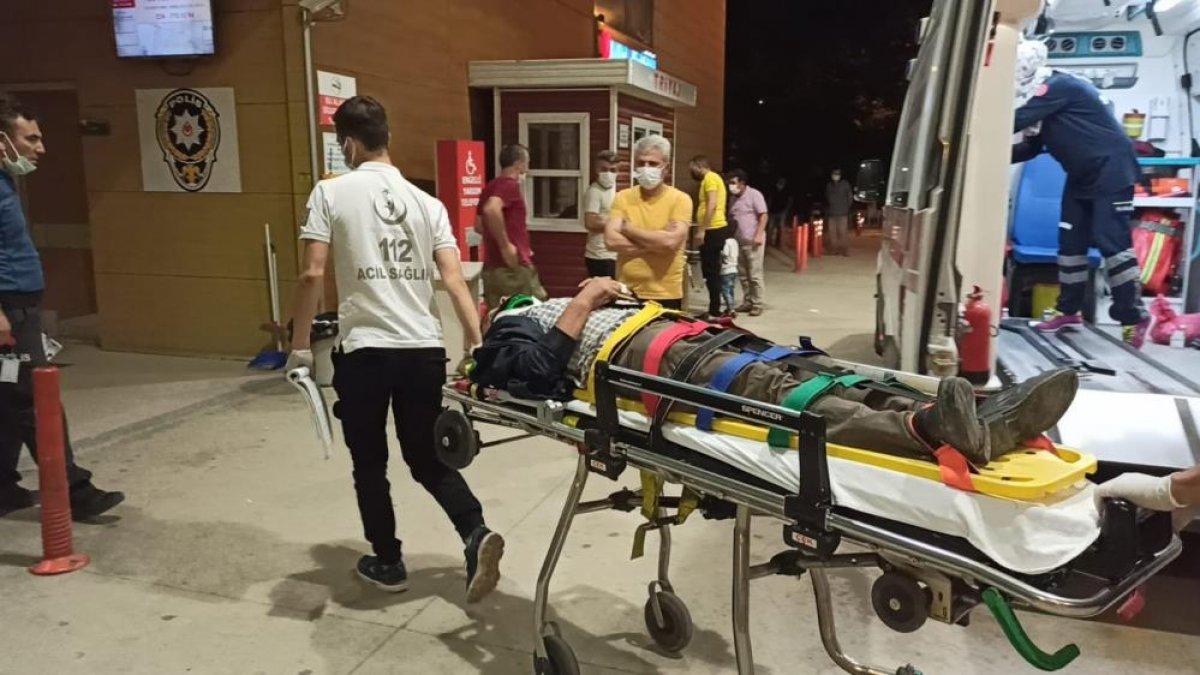 Bursa'da motosiklet, domuz sürüsüne çarptı