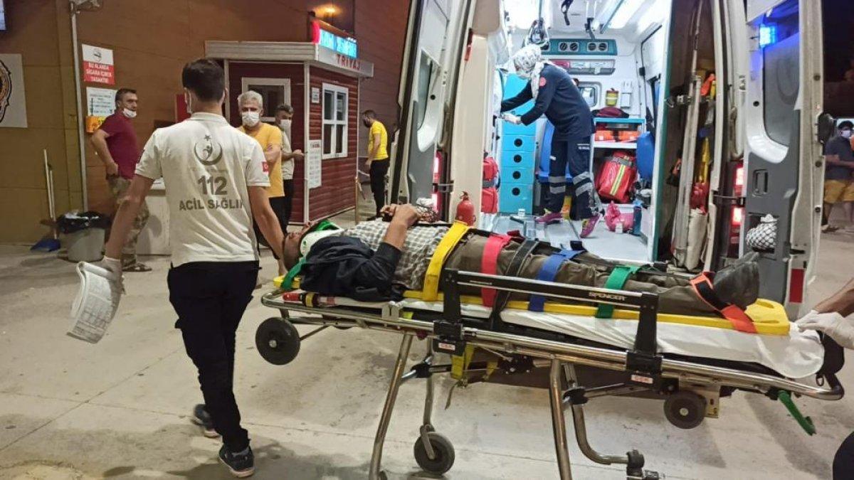 Bursa'da motosiklet, domuz sürüsüne çarptı