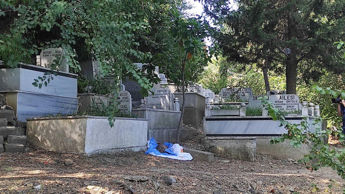 Şişli'de panik: İnsan cesedi zannedildi, köpek ölüsü çıktı