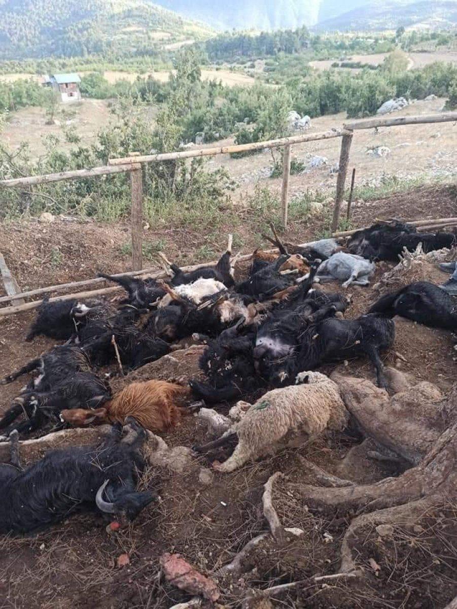 Mersin’de ağaca yıldırım düştü, hayvanlar telef oldu