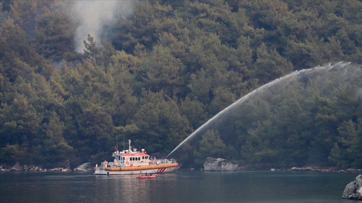 Yanan ormanlar yeşil alan olarak kalacak