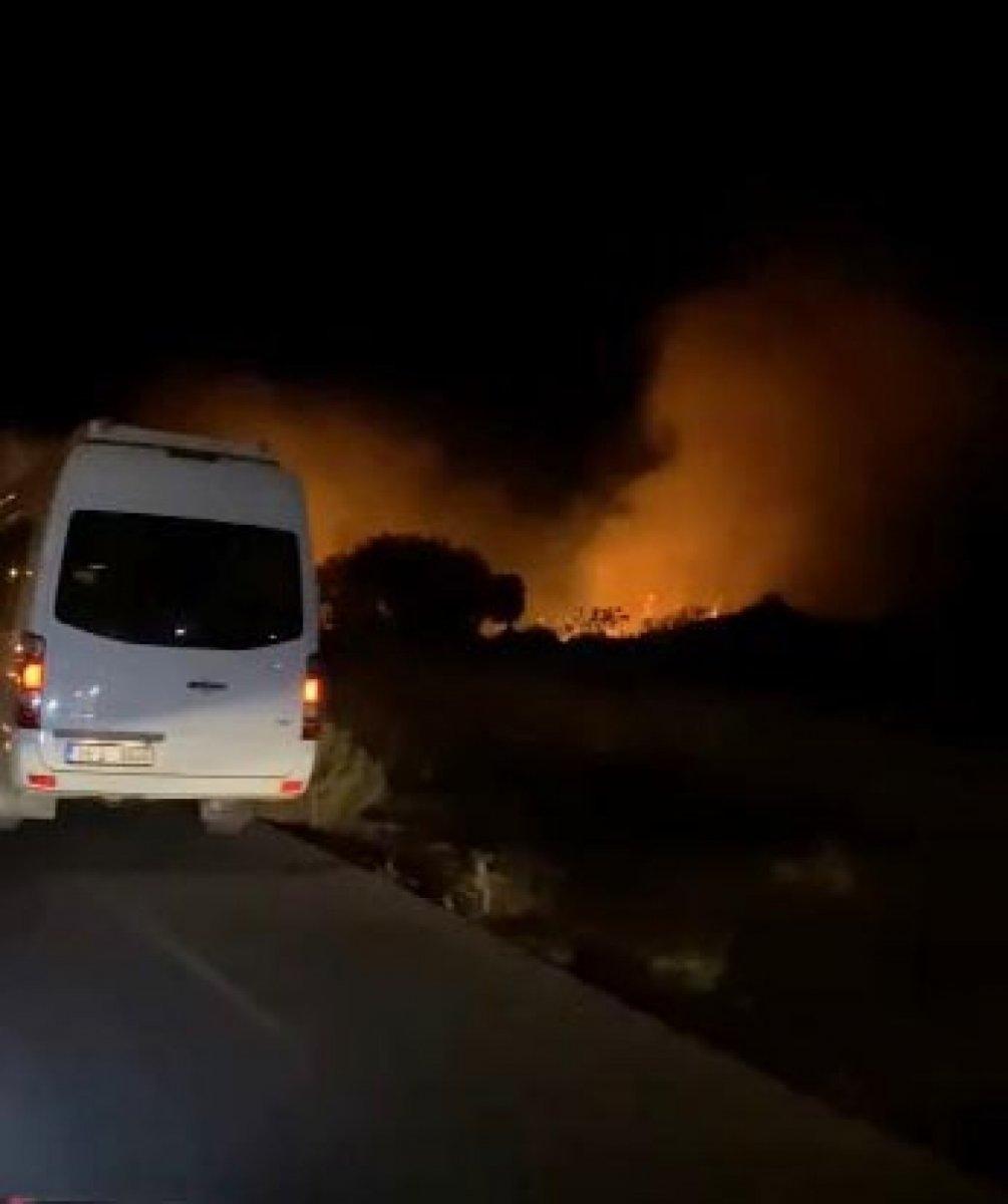 Aydın'da çıkan yangın sonucu 5 dönümlük alan küle döndü