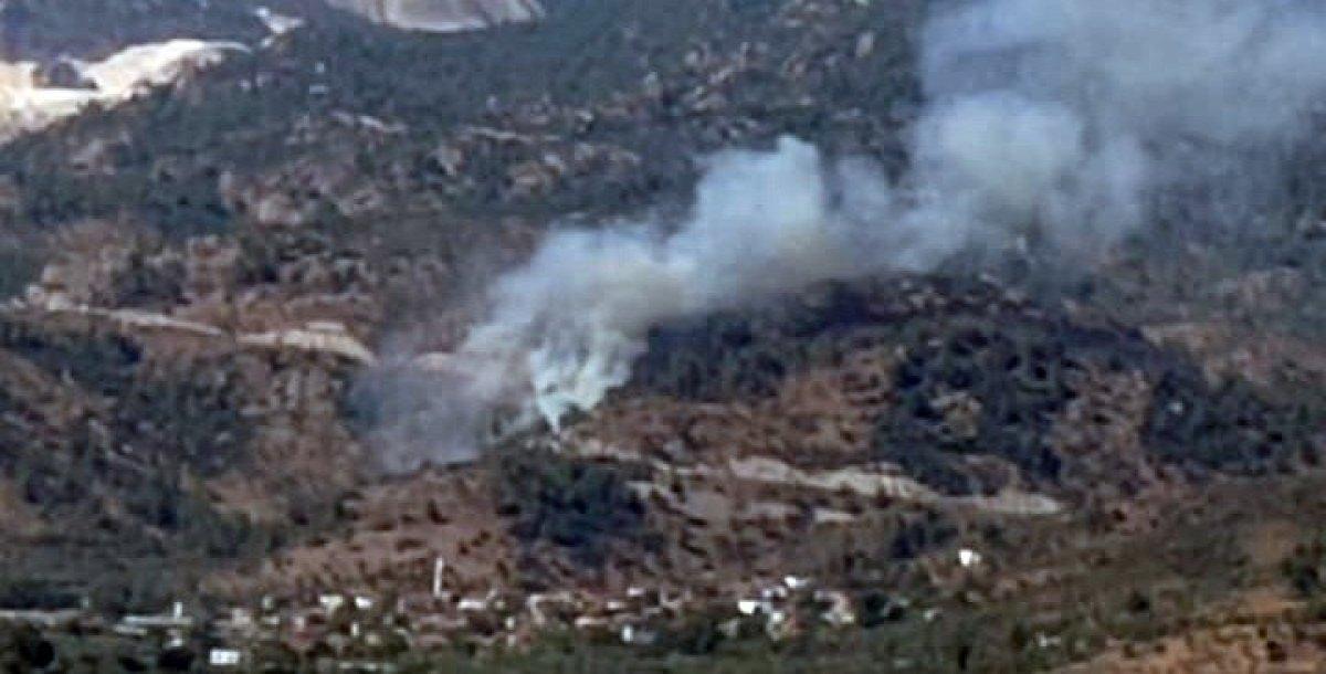 Muğla'da zeytinlik alanda yangın çıktı