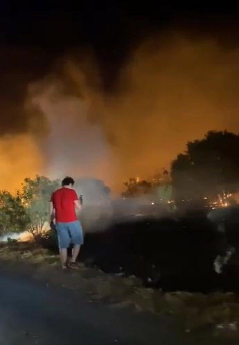 Aydın'da çıkan yangın sonucu 5 dönümlük alan küle döndü