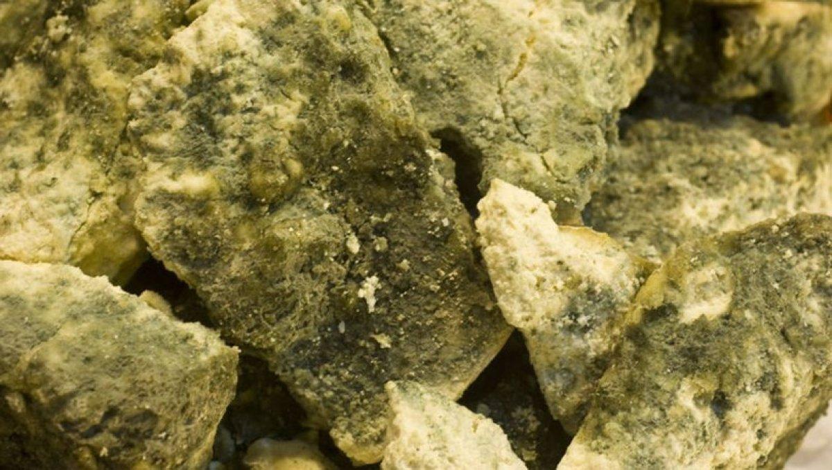 Bağırsak florasını koruyan 6 probiyotik gıda