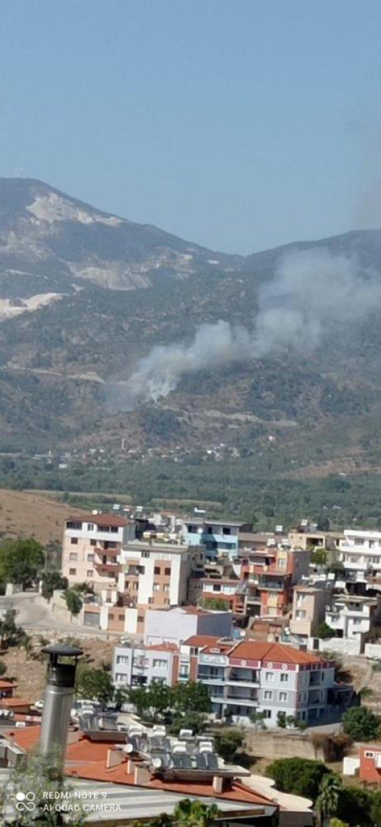 Muğla'da zeytinlik alanda yangın çıktı