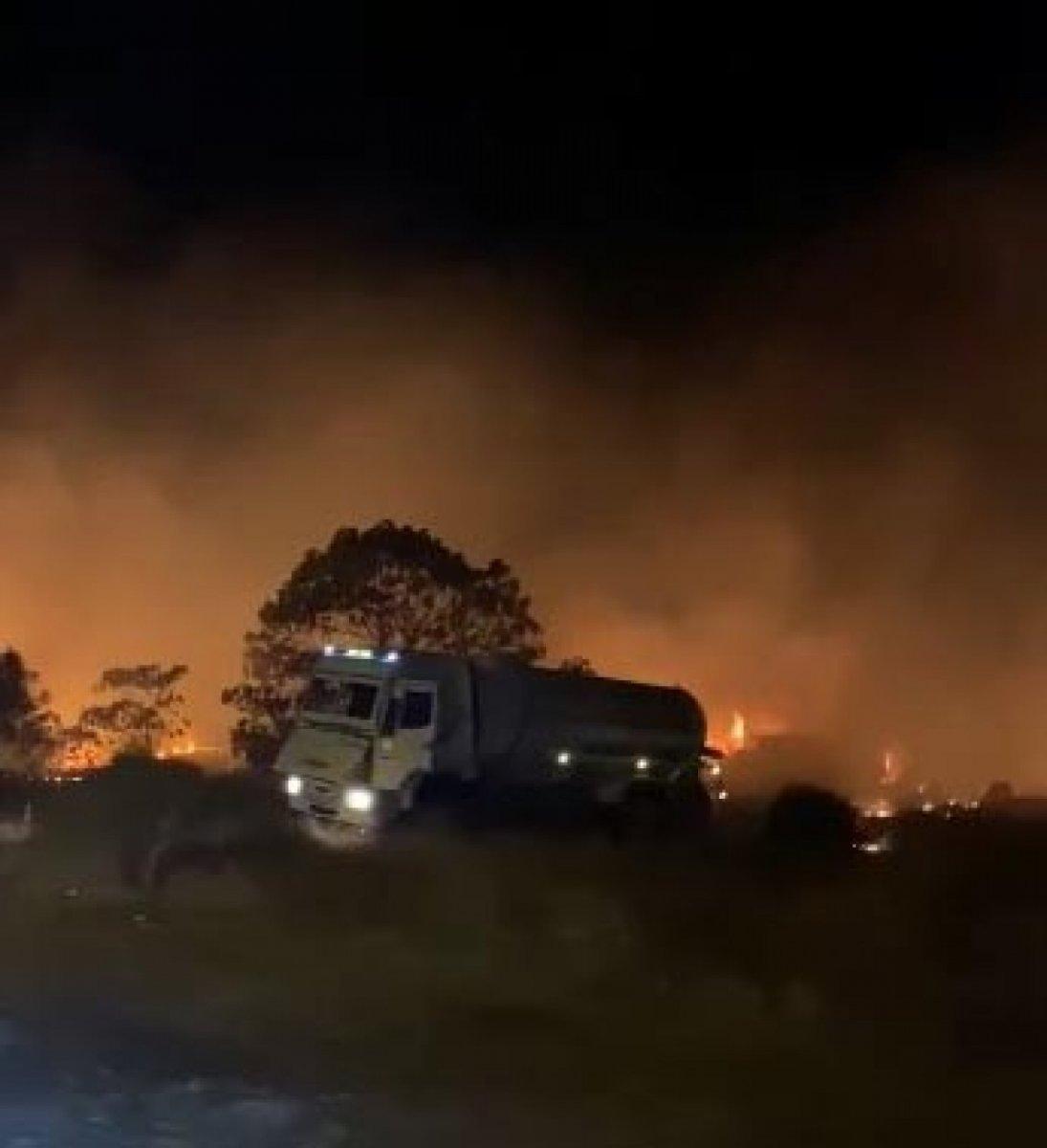 Aydın'da çıkan yangın sonucu 5 dönümlük alan küle döndü