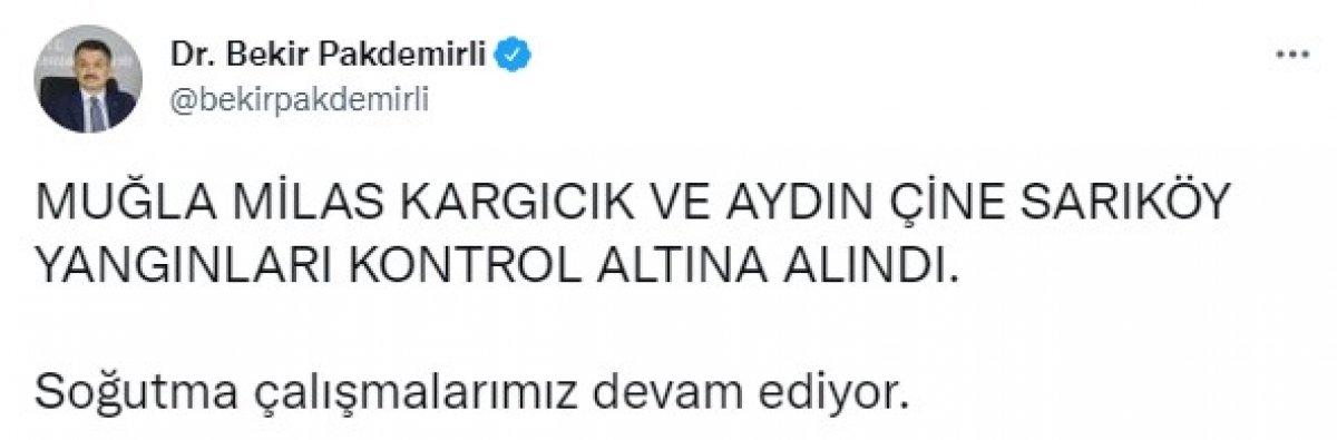 Pakdemirli: Milas Kargıcık ve Çine, Sarıköy yangınları kontrol altına alındı