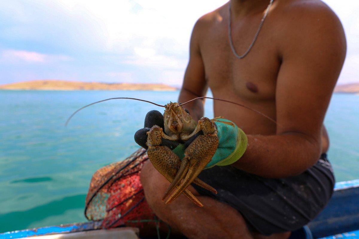 Tuncelili genç, avladığı kerevitten binlerce lira gelir sağlıyor