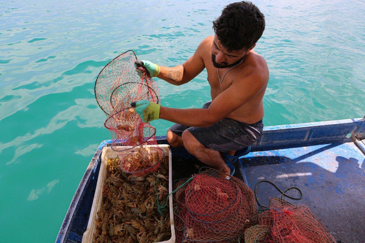 Tuncelili genç, avladığı kerevitten binlerce lira gelir sağlıyor