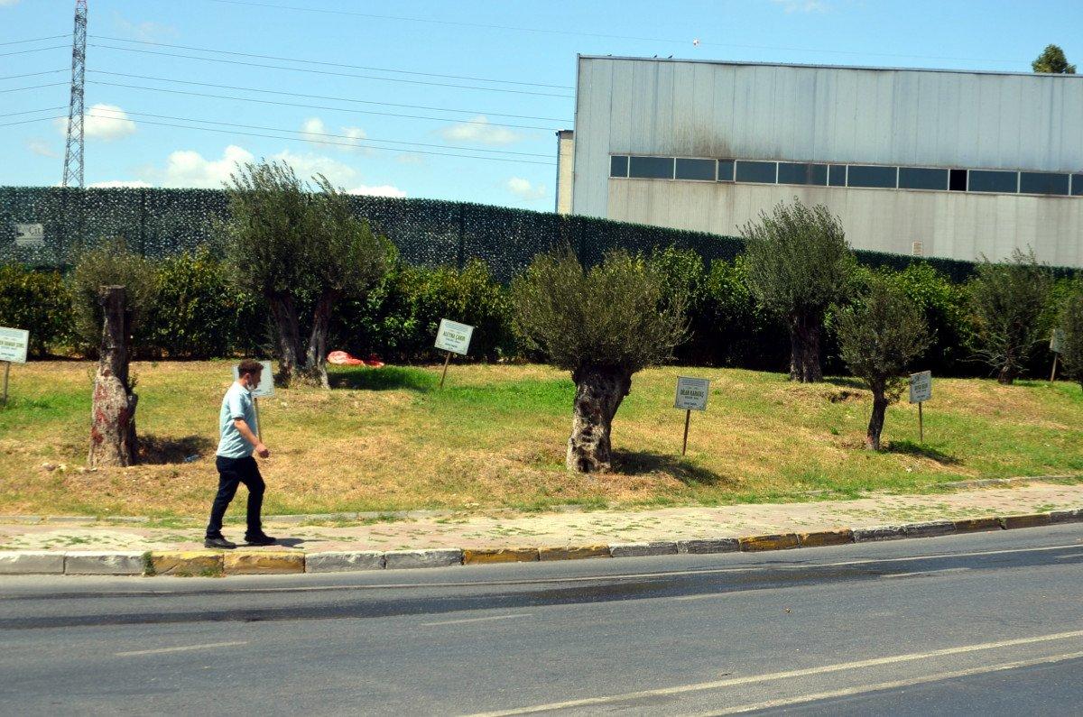 Avcılar’da, öldürülen kadınların isimlerini taşıyan demir tabelaları çaldılar