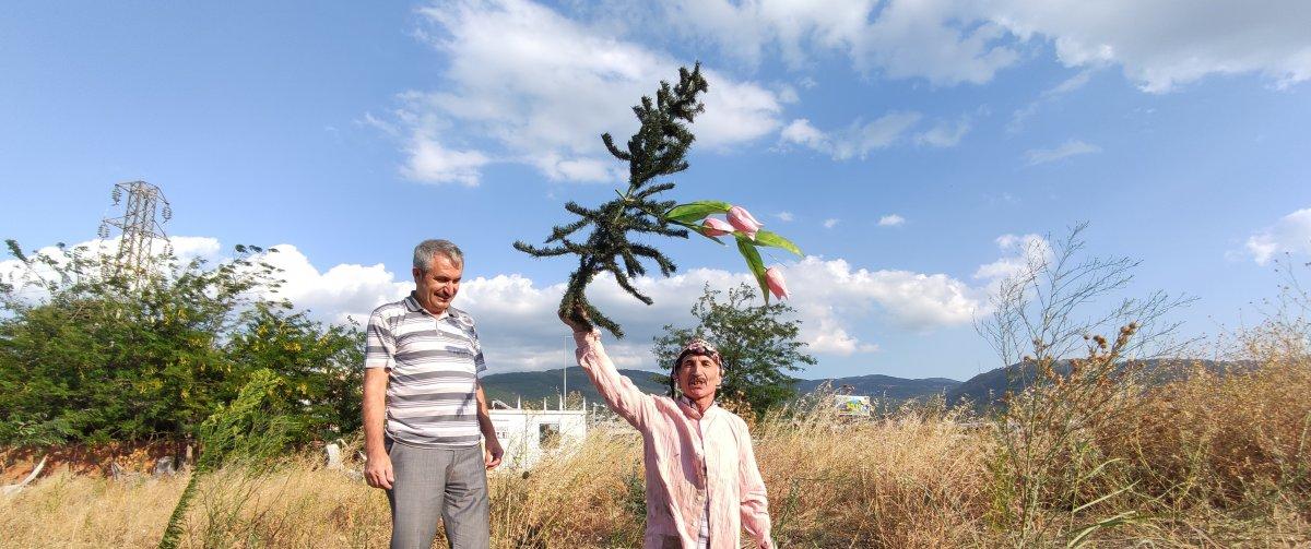 Bursa'da fidan dikimine dikkat çekmek isteyen adam, diri diri toprağa girdi