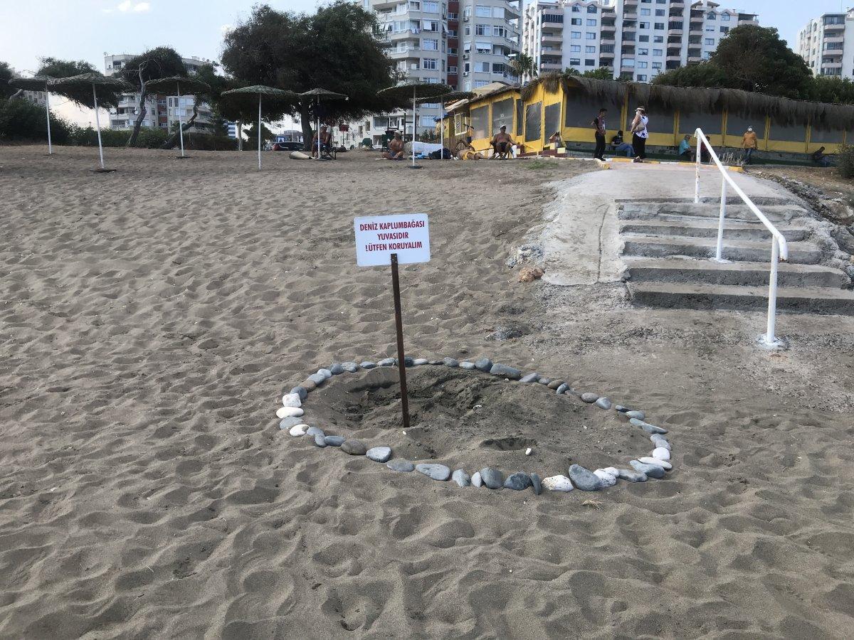 Mersin’de yumurtasını gündüz vakti bırakan caretta caretta