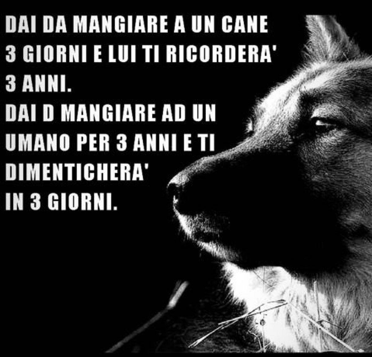 Kadro dışı bırakılmıştı! Adem Ljajic'ten Beşiktaş'a ağır gönderme