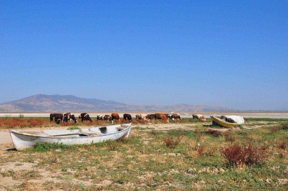 Marmara Gölü kurudu, zemininde derin yarıklar oluştu