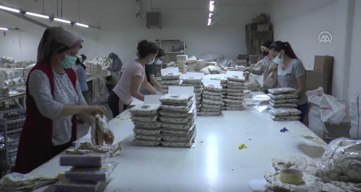 Çekirdekli yastık Almanların gözdesi oldu