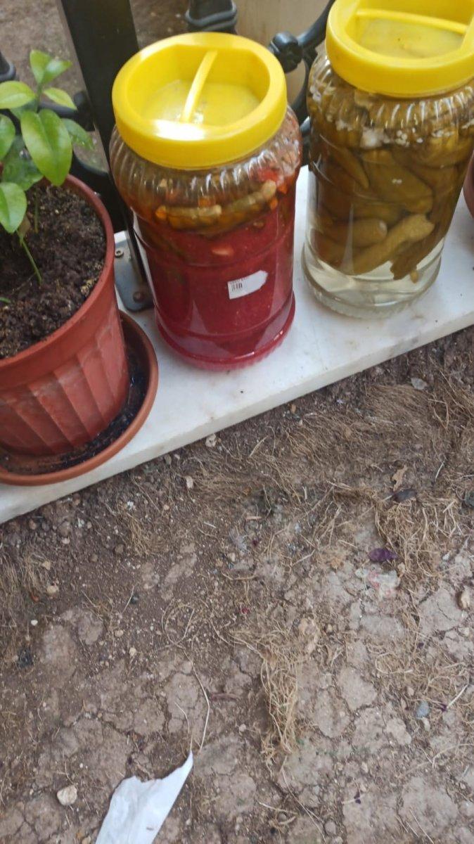 Avcılar’da kadın hırsızlar turşu çaldı