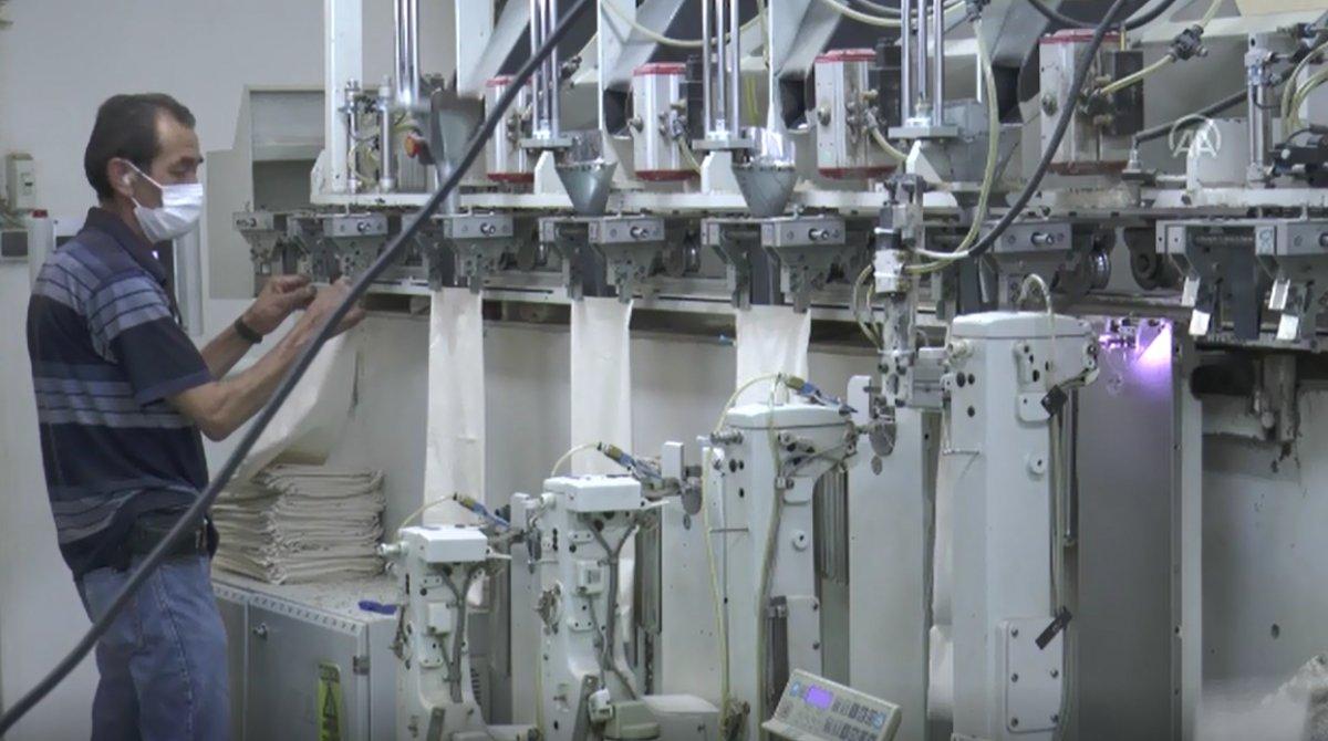 Çekirdekli yastık Almanların gözdesi oldu