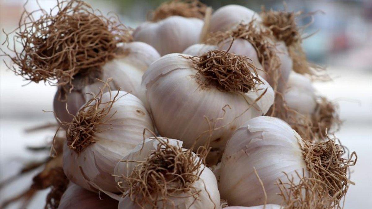 Kalp sağlığı için en iyi 10 besin