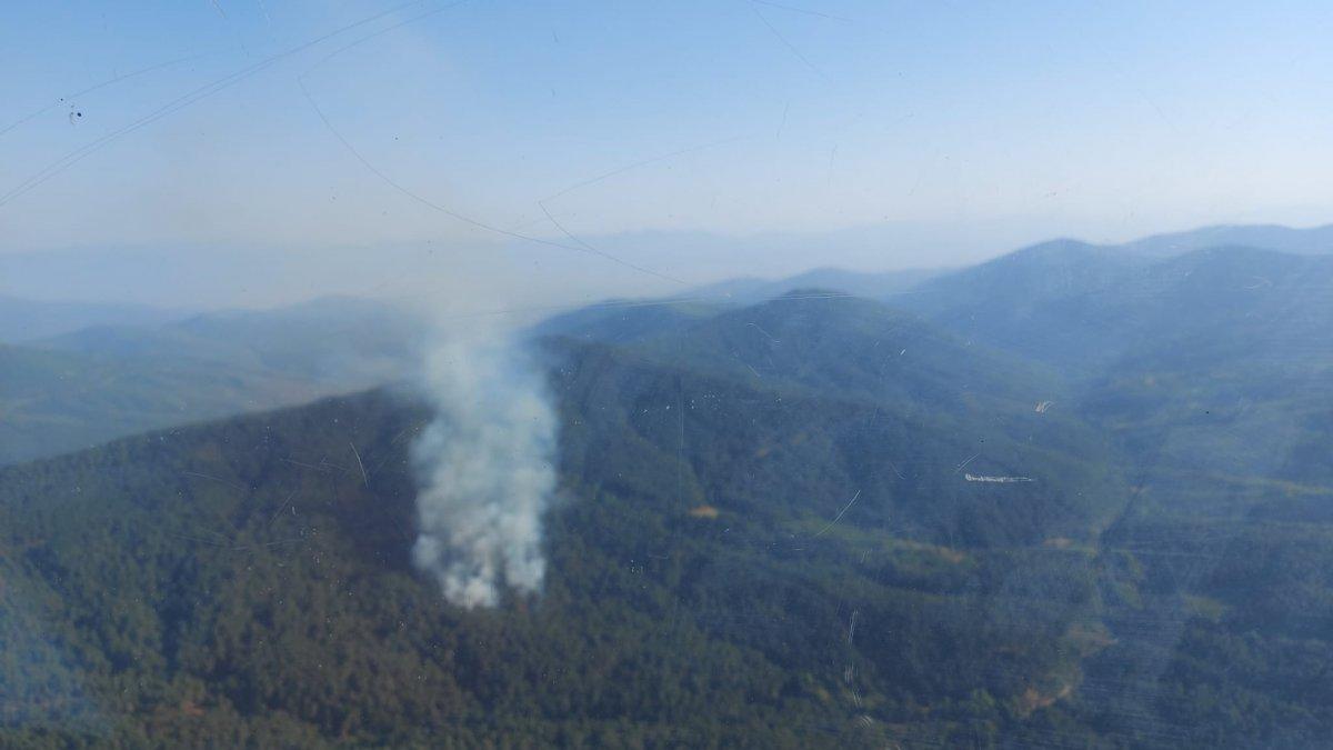 İzmir’deki orman yangını kontrol altında