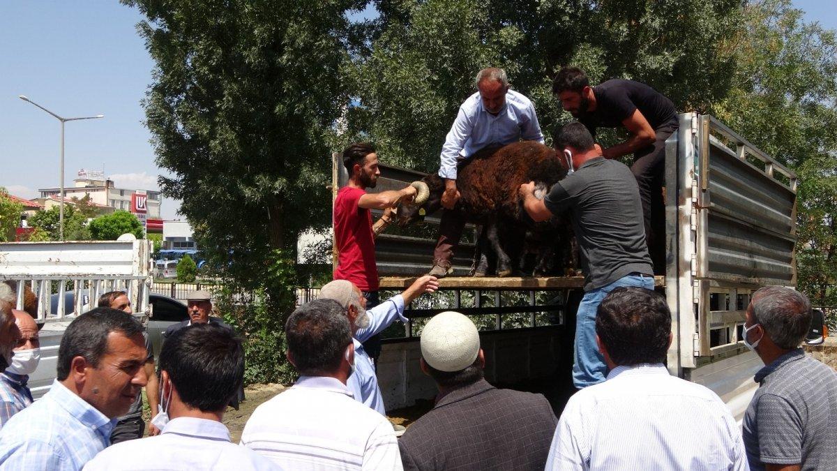 Muş'ta devlet destekli küçükbaş hayvan dağıtıldı