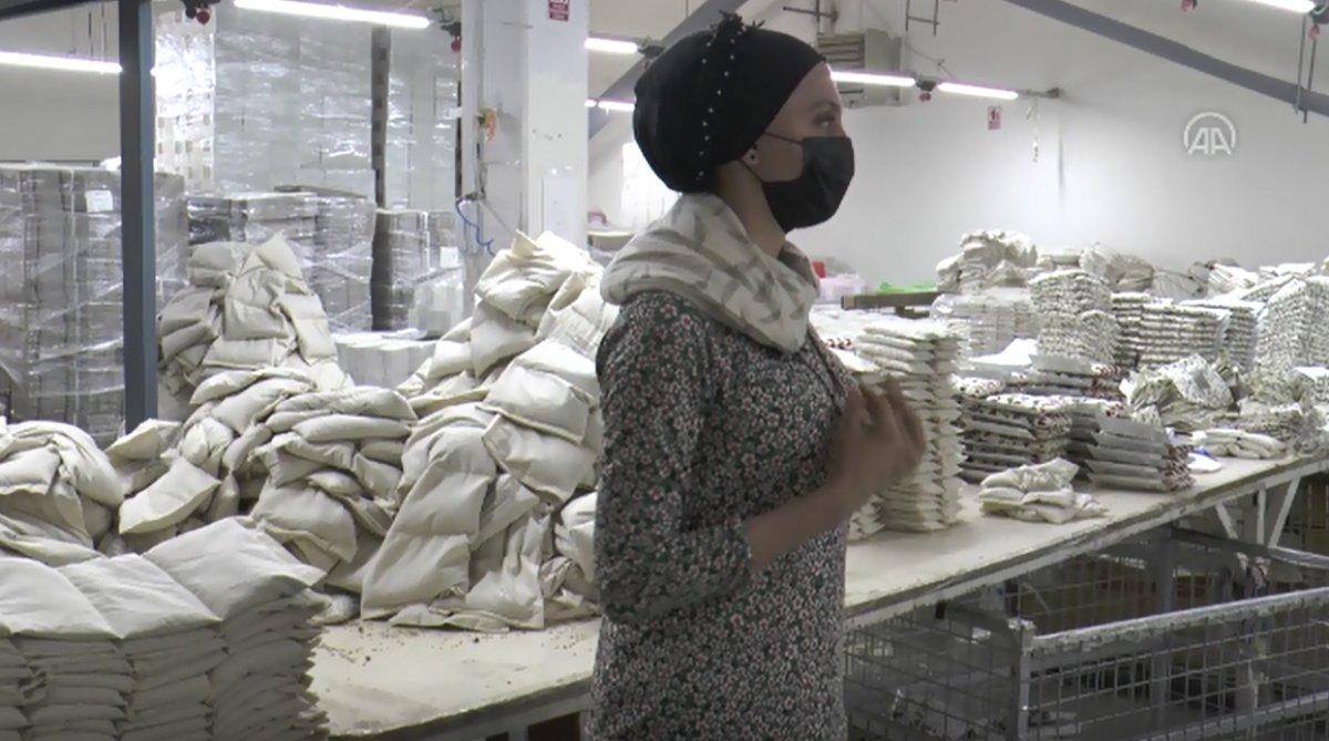 Çekirdekli yastık Almanların gözdesi oldu