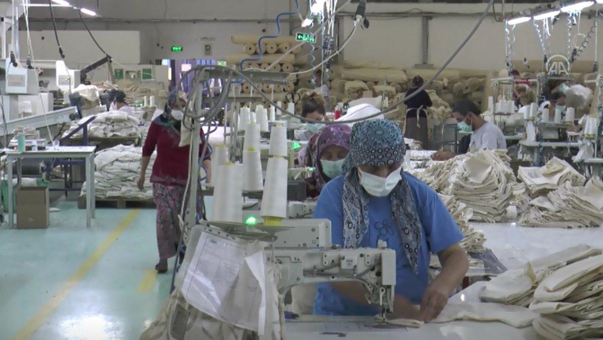 Çekirdekli yastık Almanların gözdesi oldu