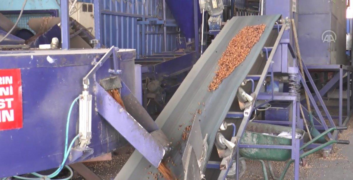 Çekirdekli yastık Almanların gözdesi oldu